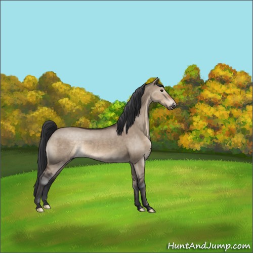 Horse Color:Brown Dun
