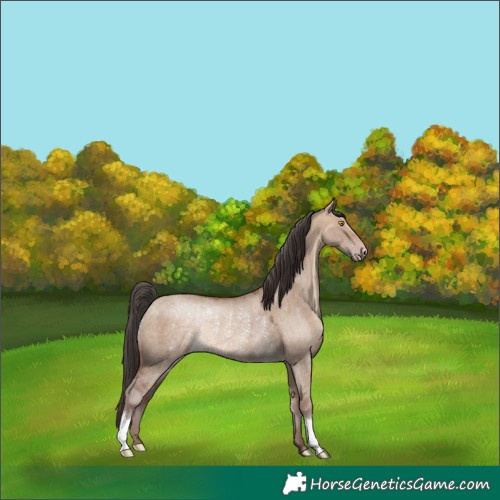 Horse Color:Sable Champagne Dun Rabicano 