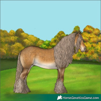 Horse Color:Chocolate Palomino Dun 