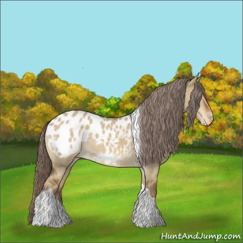 Horse Color:Chocolate Palomino Dun Tobiano Appaloosa 