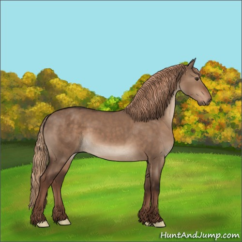 Horse Color:Liver Red Dun 