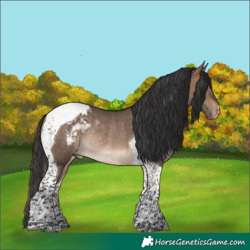 Horse Color:Brown Dun Tobiano Snowcap Rabicano 