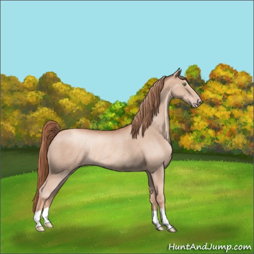 Horse Color:Gold Champagne Rabicano