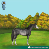 Horse Color:Smoky Black Rabicano 
