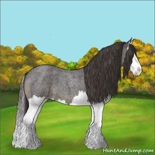 Horse Color:Smoky Blue Roan Splash Appaloosa