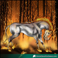 Horse Color:Gray Chocolate Bay Chinchilla Onyx Rabicano 