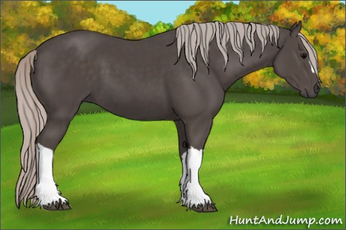 Horse Color:Silver Black 