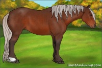 Horse Color:Silver Brown 