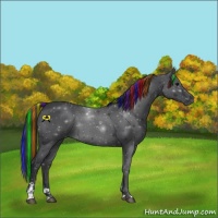 Horse Color:Painted Blue Roan Sabino 