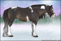 Horse Color:Smoky Black Splash Tobiano