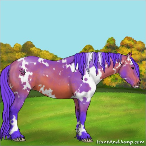 Horse Color:Watercolor White Spotted Bay
