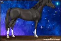 Horse Color:Smoky Black