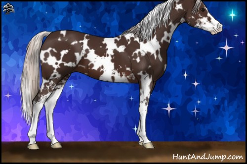Horse Color:White Spotted Silver Brown Sabino 
