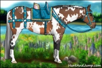 Horse Color:White Spotted Bay 