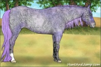 Horse Color:Watercolor Chocolate Palomino Ice Roan Pearl Onyx