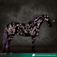 Horse Color:Void Watercolor Bay Dun Sabino Leopard 