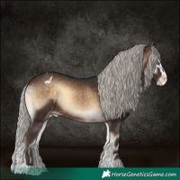 Horse Color:Silver Brown Onyx Sabino Varnish