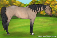Horse Color:Brown Roan Dun Rabicano