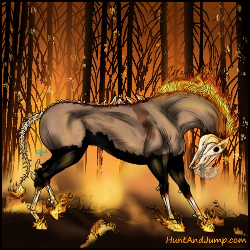 Horse Color:Void Bay Dun Splash
