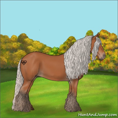 Horse Color:Silver Bay 