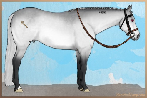 Horse Color:Silver Bay Chinchilla