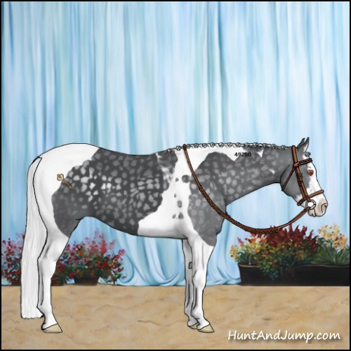 Horse Color:Silver Black Chinchilla Splash Tobiano 