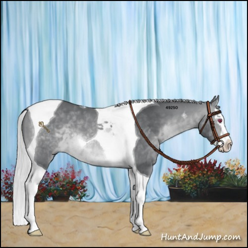 Horse Color:Silver Brown Chinchilla Splash Tobiano