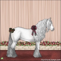 Horse Color:Gray Platinum Bay Roan 