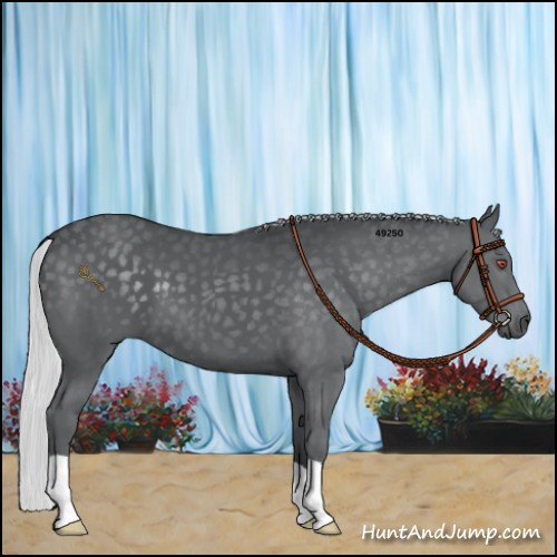 Horse Color:Silver Black Chinchilla