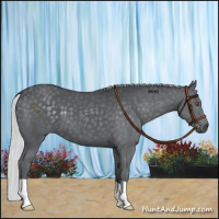 Horse Color:Silver Black Chinchilla