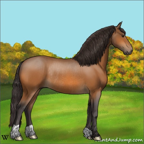 Horse Color:Buckskin Rabicano