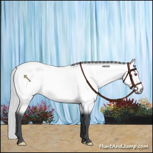 Horse Color:Silver Bay Chinchilla