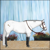 Horse Color:Silver Bay Chinchilla 