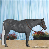 Horse Color:Silver Black Chinchilla 