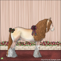 Horse Color:Bay Roan Pearl Onyx 