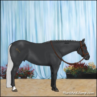 Horse Color:Silver Black Chinchilla 