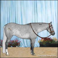Horse Color:Silver Grullo Chinchilla 