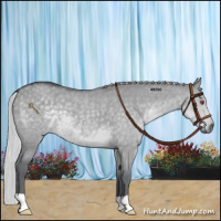 Horse Color:Silver Grullo Chinchilla 