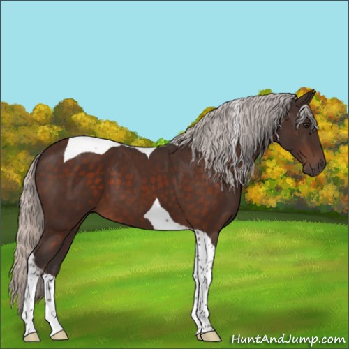 Horse Color:Silver Brown Tobiano 