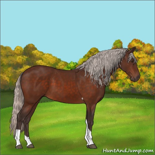 Horse Color:Silver Brown Tobiano