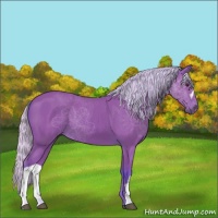 Horse Color:Watercolor Silver Brown 