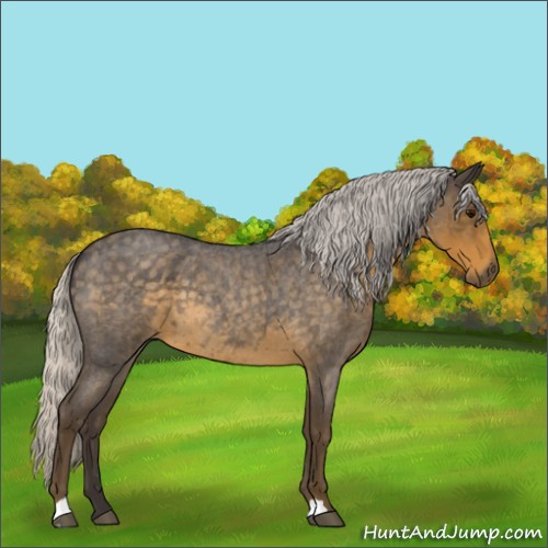 Horse Color:Silver Smoky Blue Roan 