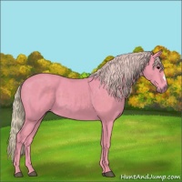 Horse Color:Watercolor Silver Black 