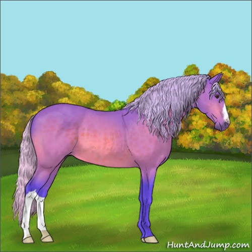 Horse Color:Watercolor Silver Brown 