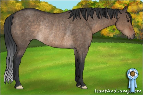Horse Color:Brown Dun Rabicano 