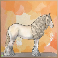 Horse Color:Red Onyx Roan Pearl