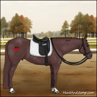 Horse Color:Chocolate Black
