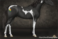 Horse Color:Liver Chestnut Tobiano 