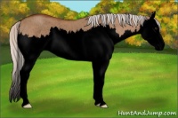 Horse Color:Void Silver Brown Roan Dun Splash Rabicano