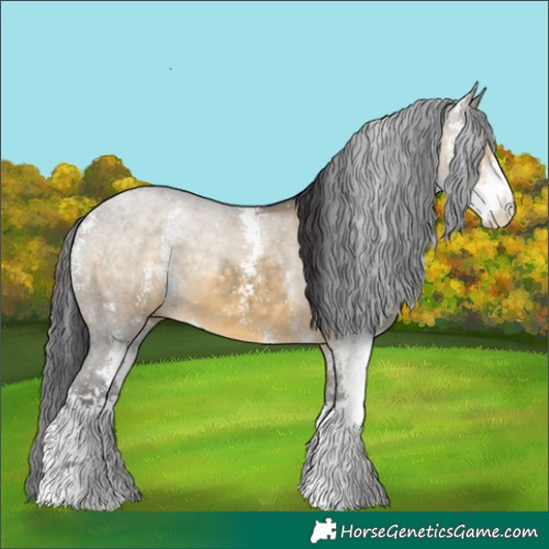 Horse Color:Buckskin Dun Sabino 